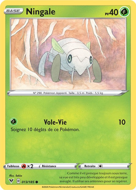 013/185 - Ningale