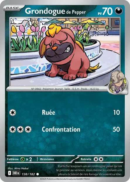 Carte Pokémon Grondogue de Pepper 138/182 DRI Rivalités Destinées EV10 Neuf FR LorenZone