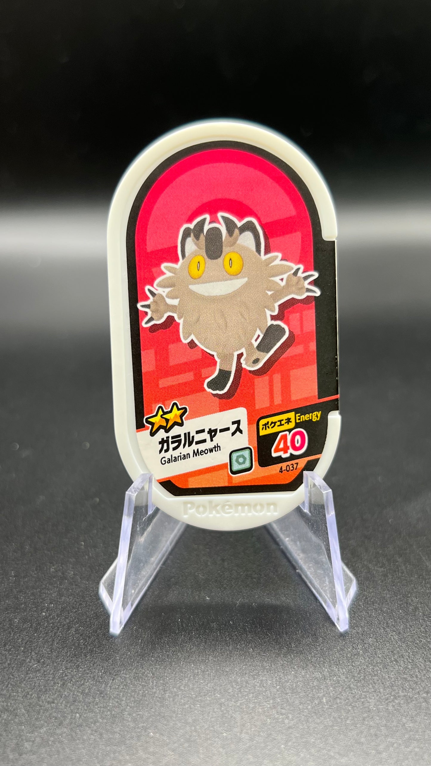 Mezastar 4-037 - Miaouss de Galar