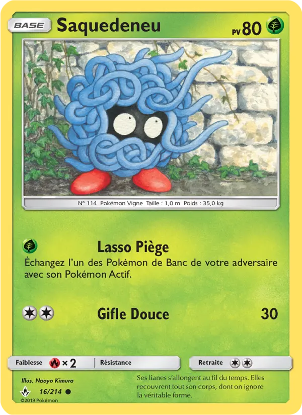 016/214 - Saquedeneu