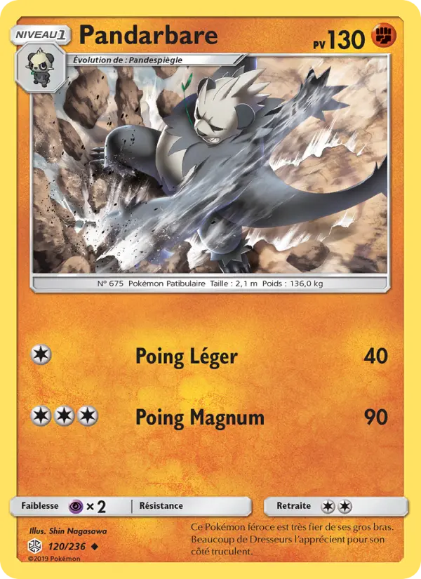 120/236 - Pandarbare
