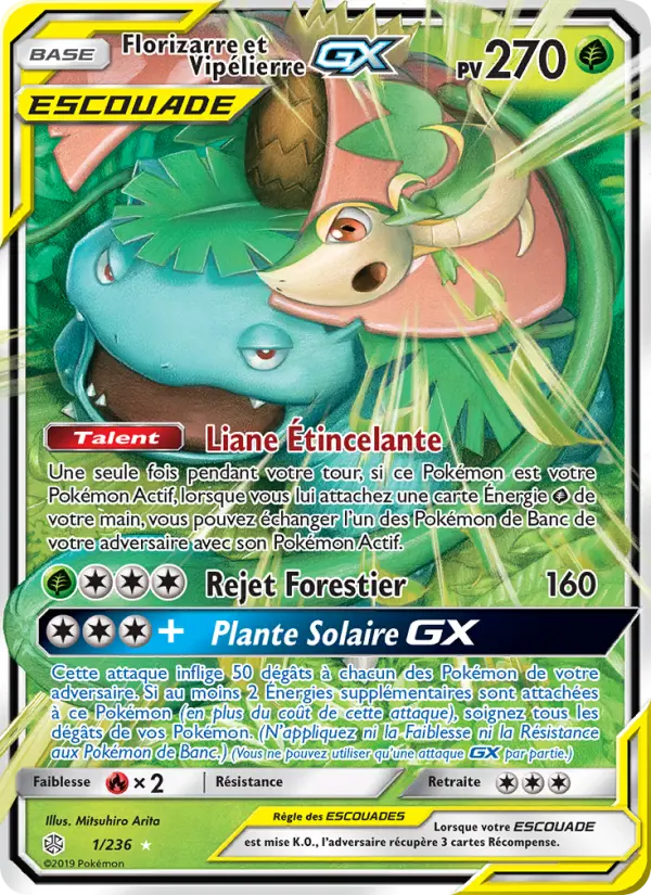 001/236 - Florizarre et Vipélierre GX