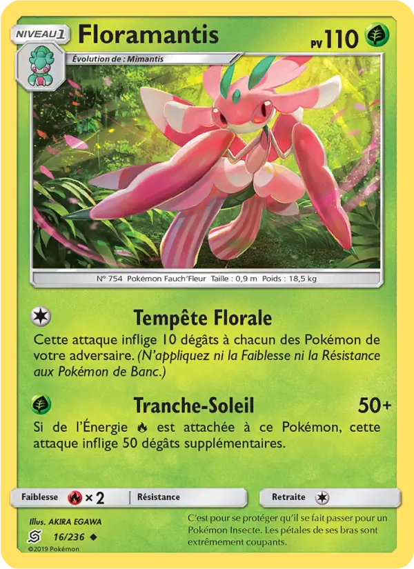 016/236 - Floramantis