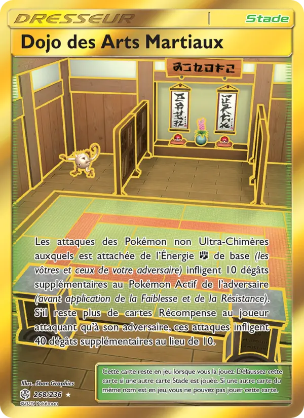 268/236 - Dojo des Arts Martiaux
