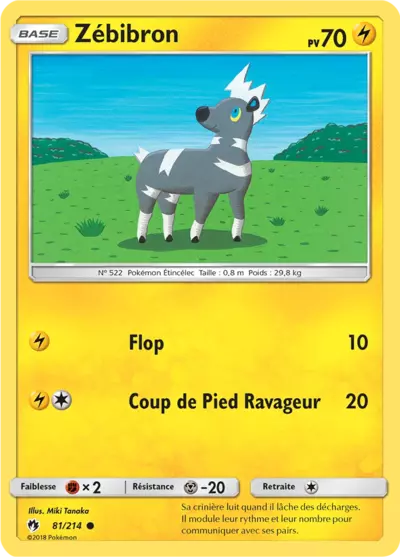081/214 - Zébibron
