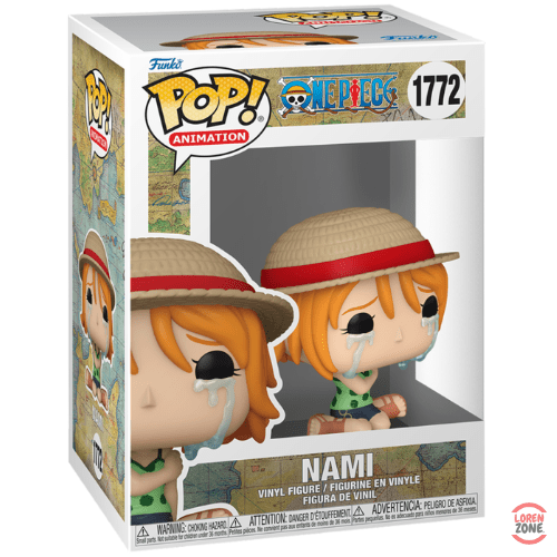 Nami - 1772 - LorenZone - Pokémon