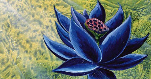 Le Black Lotus : La Carte la Plus Chère de Magic