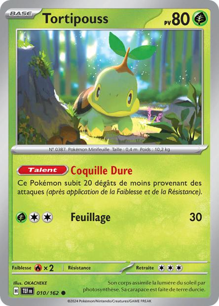 Carte Pokémon Tortipouss 010/162 TEF Forces Temporelles EV05 Neuf FR LorenZone