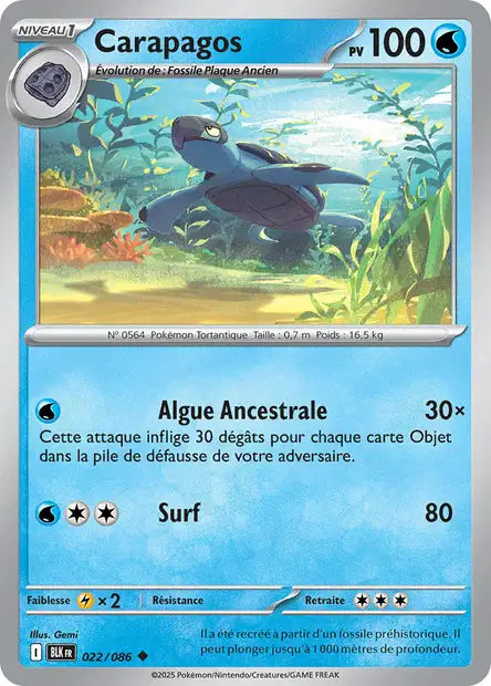 Carte Pokémon Carapagos 022/086 BLK Foudre Noire EV10_5 Neuf FR LorenZone