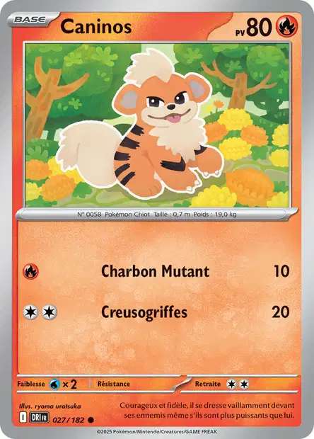 Carte Pokémon Caninos 027/182 DRI Rivalités Destinées EV10 Neuf FR LorenZone
