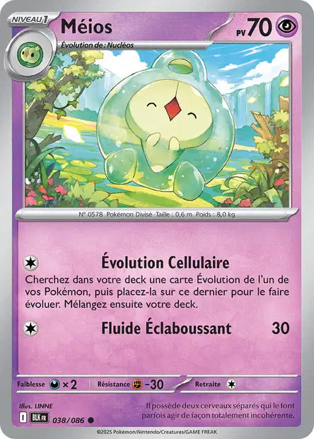 Carte Pokémon Méios 038/086 BLK Foudre Noire EV10_5 Neuf FR LorenZone