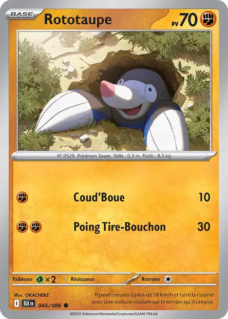 Carte Pokémon Rototaupe 045/086 BLK Foudre Noire EV10_5 Neuf FR LorenZone