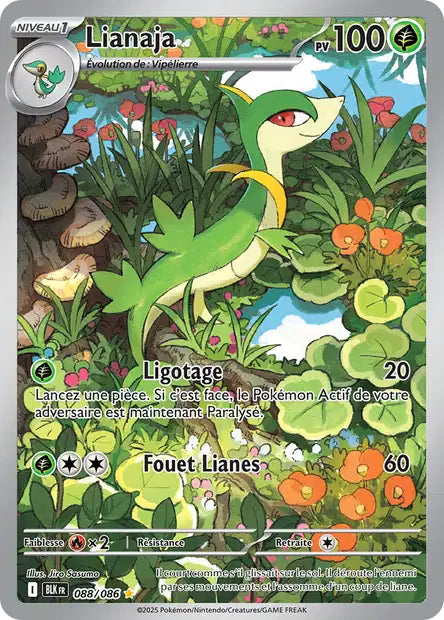 Carte Pokémon Lianaja 088/086 BLK Foudre Noire EV10_5 Neuf FR LorenZone