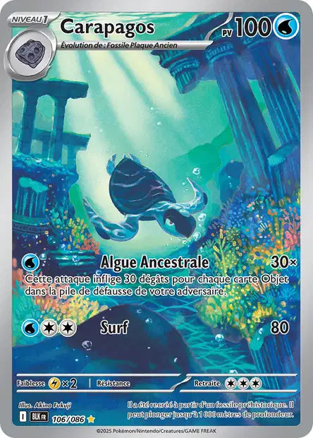Carte Pokémon Carapagos 106/086 BLK Foudre Noire EV10_5 Neuf FR LorenZone
