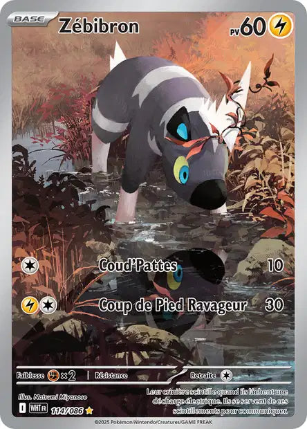 Carte Pokémon Zébibron 114/086 WHT Flamme Blanche EV10_5 Neuf FR LorenZone
