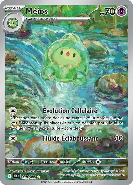 Carte Pokémon Méios 119/086 BLK Foudre Noire EV10_5 Neuf FR LorenZone