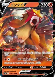 019/172 - Entei V