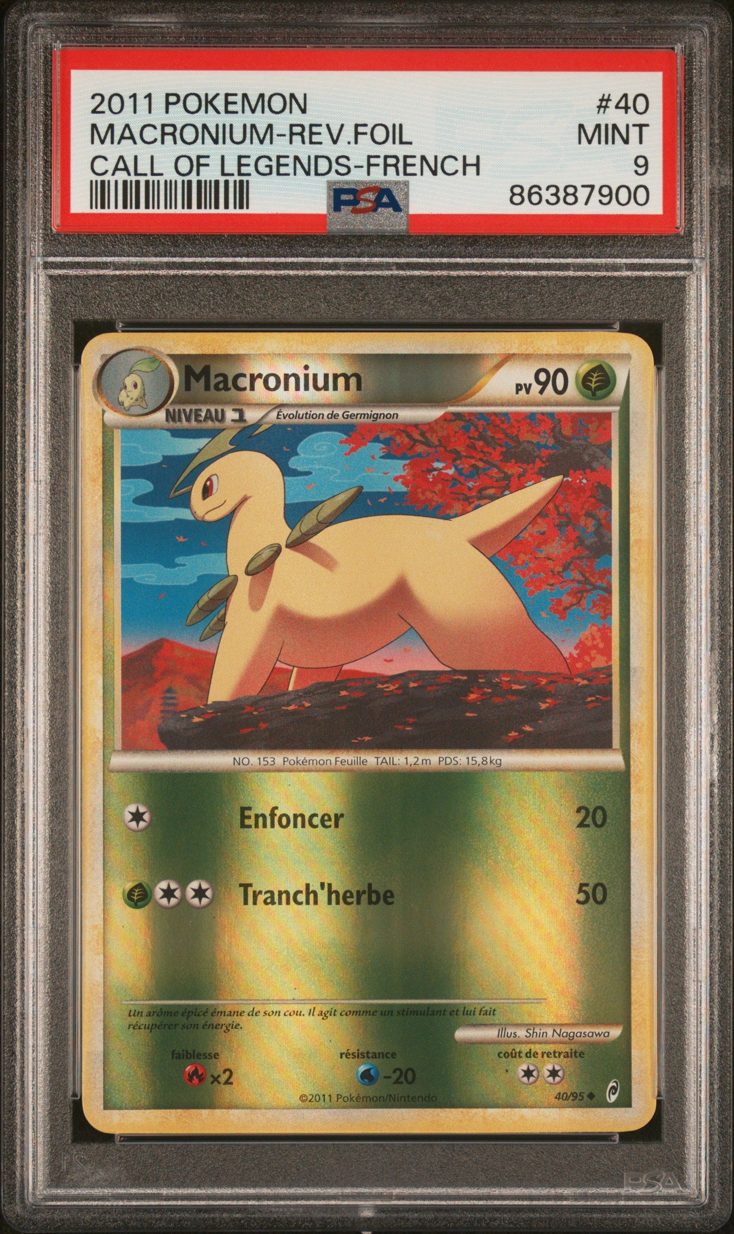 Macronium Rev.Foil 40/95 - PSA 9