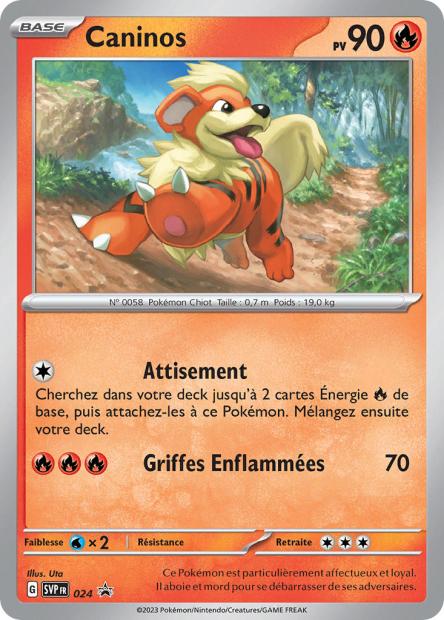Carte Pokémon Caninos SVP024 SV Promo SV SVP Neuf FR LorenZone