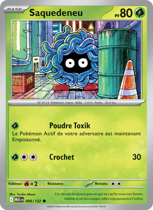 Carte Pokemon 006/132 Saquedeneu Reverse | LorenZone