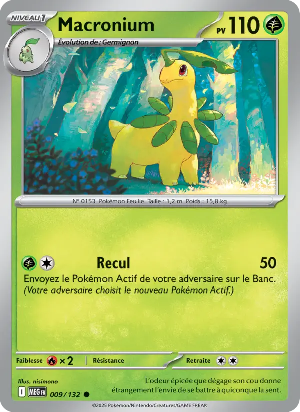 Carte Pokemon 009/132 Macronium Reverse | LorenZone