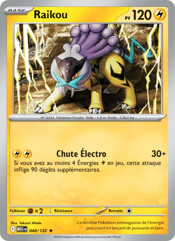 Carte Pokemon 048/132 Raikou Reverse | LorenZone