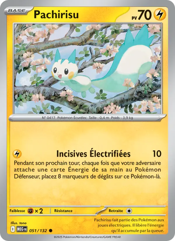 Carte Pokemon 051/132 Pachirisu Reverse | LorenZone
