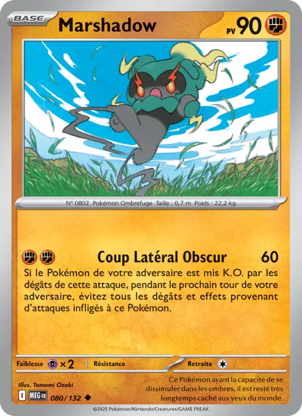 Carte Pokemon 080/132 Marshadow Reverse | LorenZone