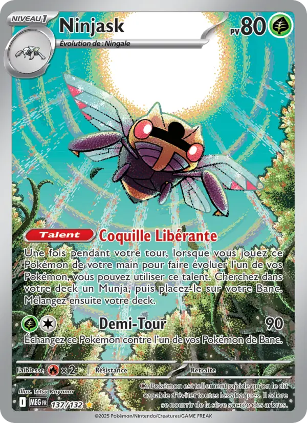Carte Pokemon 137/132 Ninjask Illustration Rare | LorenZone