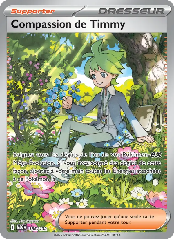 Carte Pokemon 186/132 Compassion de Timmy Illustration Spéciale Rare | LorenZone