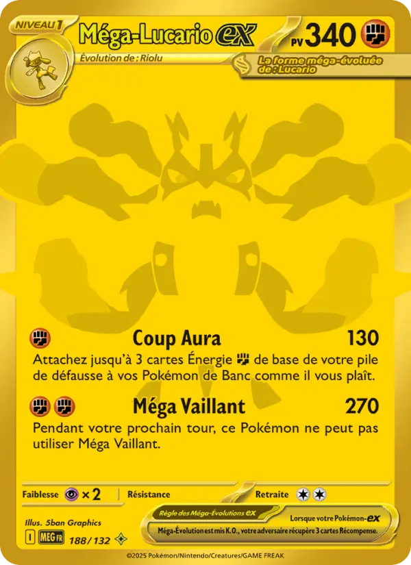 Carte Pokemon 188/132 Méga-Lucario-ex Hyper Rare | LorenZone