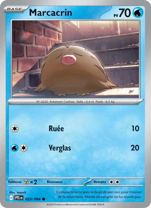 Carte Pokemon 023/094 Marcacrin Reverse | LorenZone