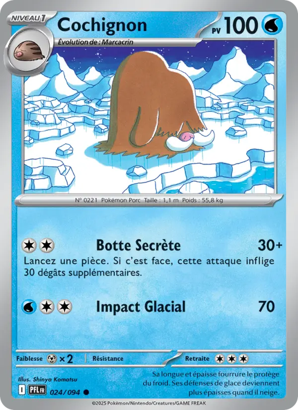Carte Pokemon 024/094 Cochignon Reverse | LorenZone