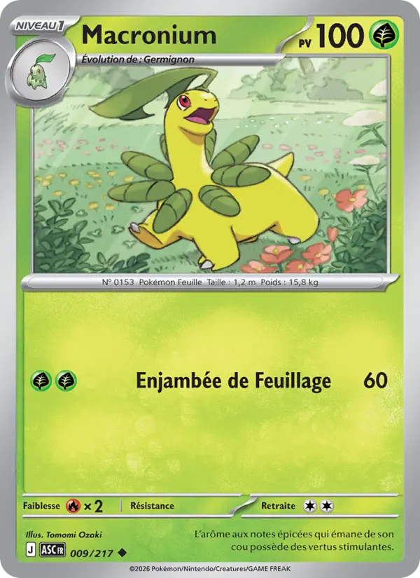 Carte Pokemon 009/217 Macronium Reverse | LorenZone
