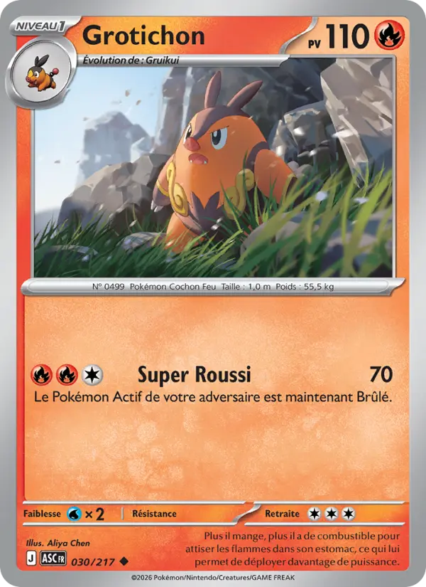 Carte Pokemon 030/217 Grotichon Reverse | LorenZone