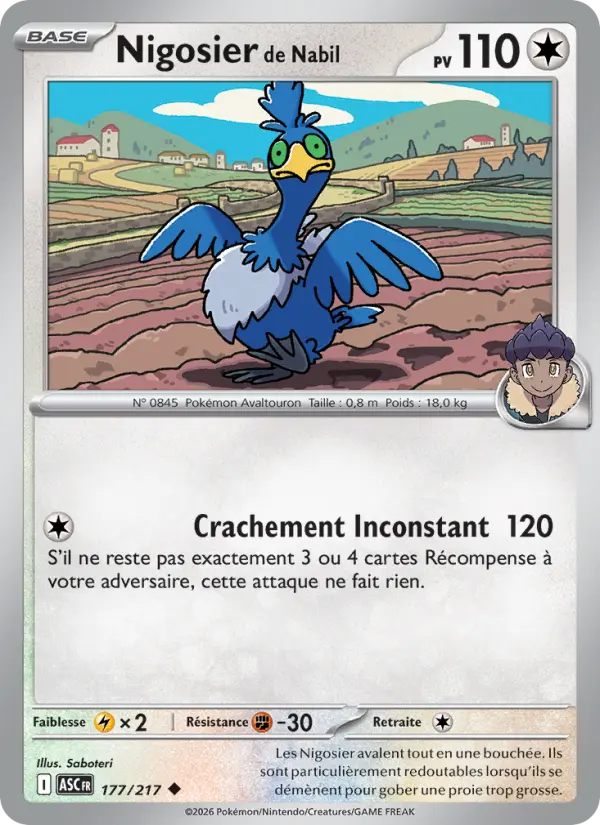 Carte Pokemon 177/217 Nigosier de Nabil Reverse | LorenZone