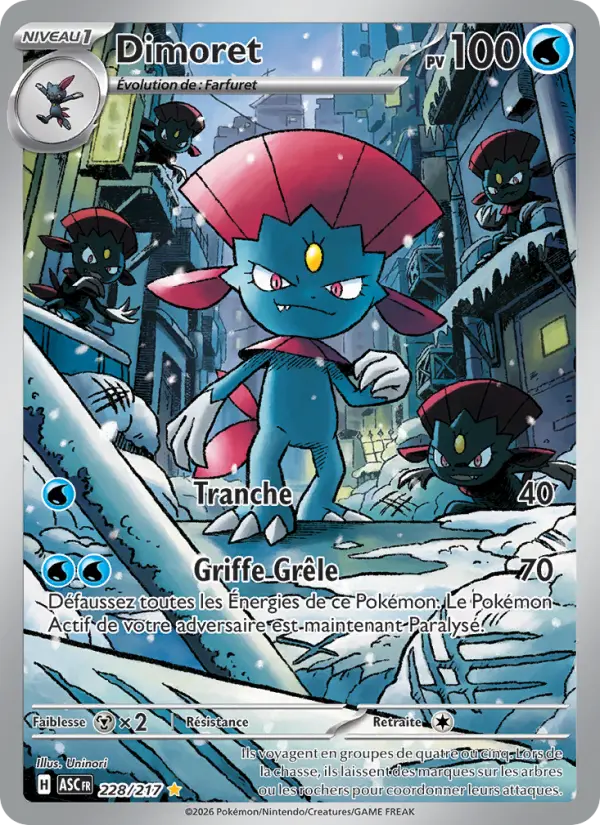 Carte Pokemon 228/217 Dimoret Illustration Rare | LorenZone