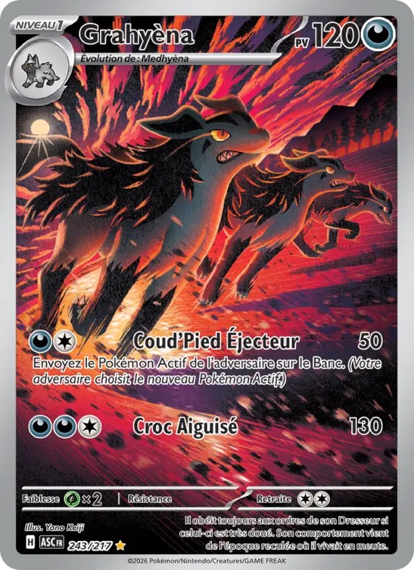 Carte Pokemon 243/217 Grahyèna Illustration Rare | LorenZone