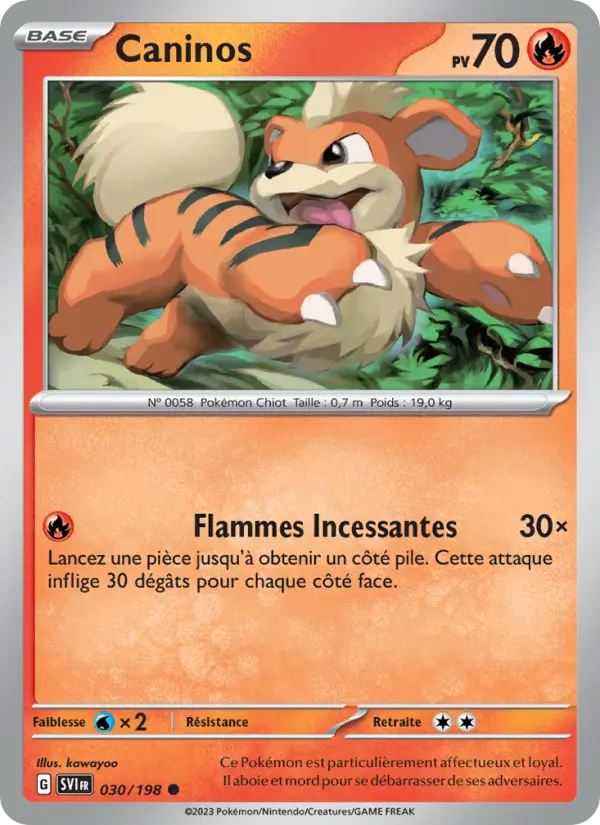 Carte Pokemon 030/198 Caninos | LorenZone