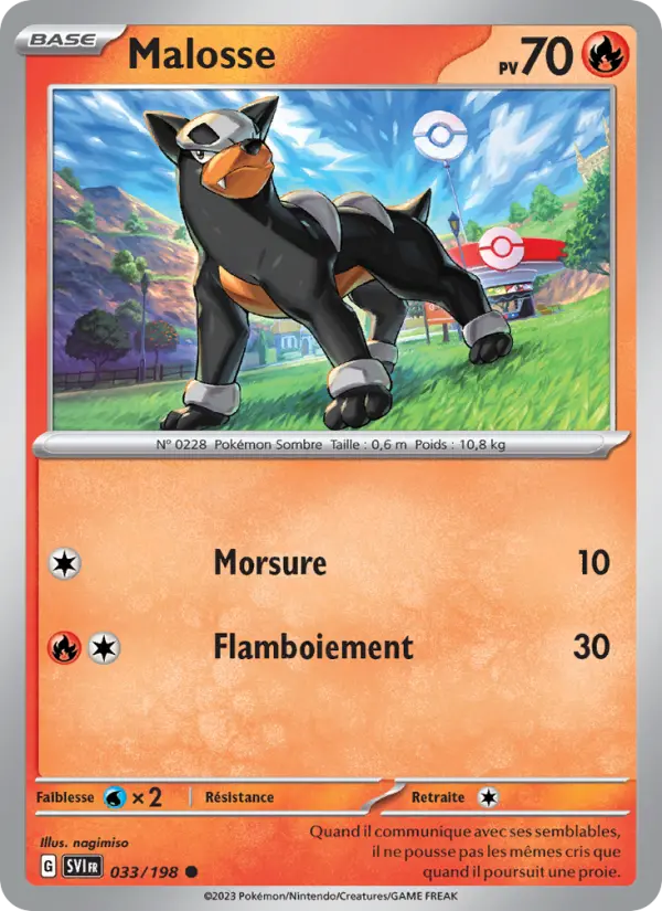 Carte Pokemon 033/198 Malosse | LorenZone