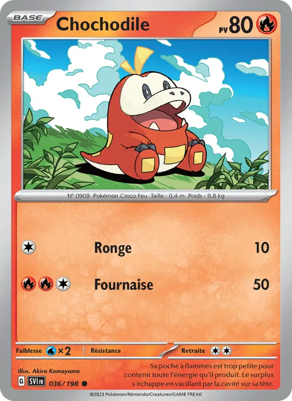 Carte Pokemon 036/198 Chochodile | LorenZone
