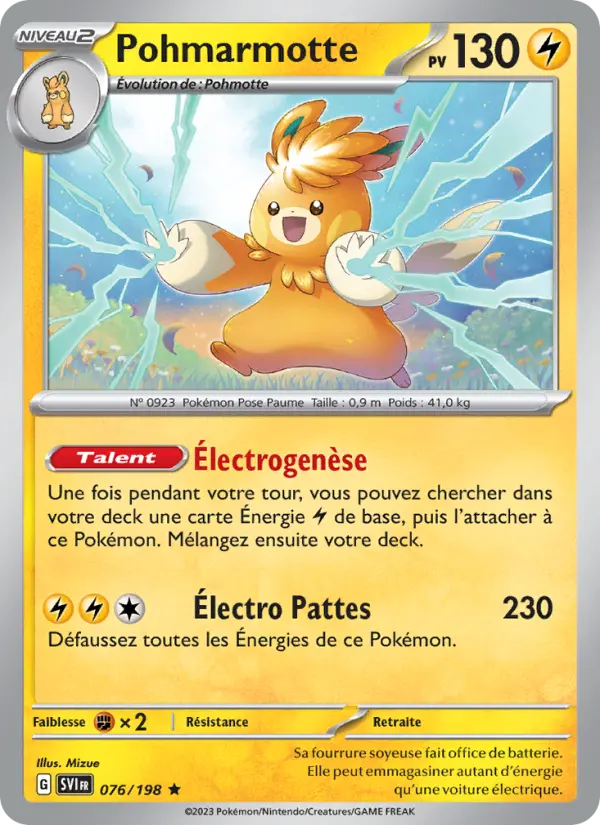Carte Pokemon 076/198 Pohmarmotte Holo | LorenZone