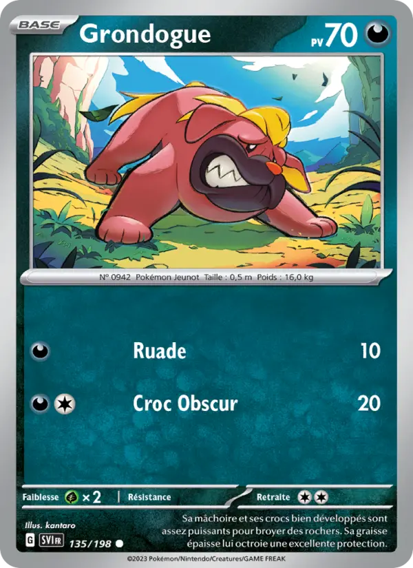 Carte Pokemon 135/198 Grondogue | LorenZone