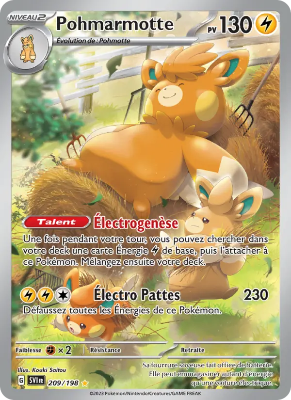 Carte Pokemon 209/198 Pohmarmotte Illustration Rare | LorenZone