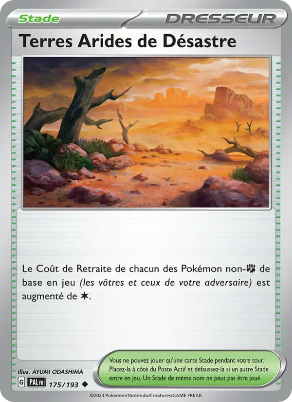 Carte Pokemon 175/193 Terres Arides de Désastre | LorenZone