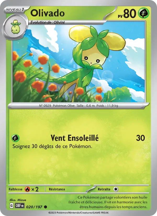 Carte Pokemon 020/197 Olivado | LorenZone
