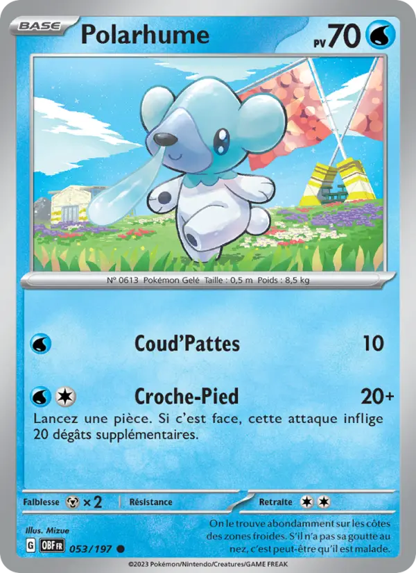 Carte Pokemon 053/197 Polarhume | LorenZone