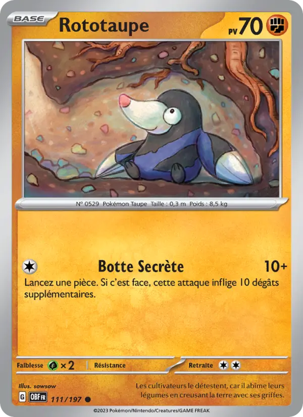 Carte Pokemon 111/197 Rototaupe | LorenZone