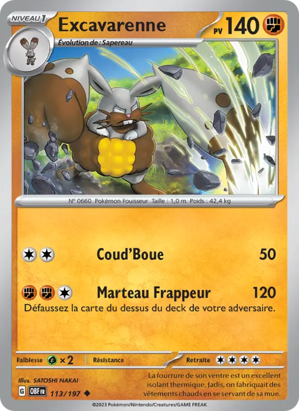 Carte Pokemon 113/197 Excavarenne | LorenZone