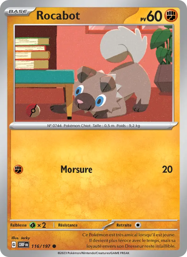 Carte Pokemon 116/197 Rocabot | LorenZone